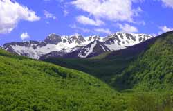 abruzzo national park